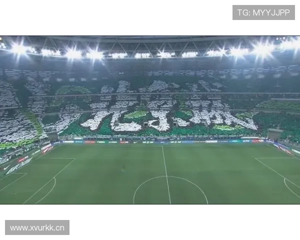 申花球迷巨型TIFO致敬于汉超